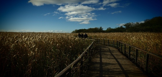 Лукоморье и Бугаиная тропа