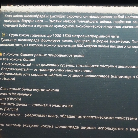 Далат. Вьетнам с Алексеем Коткиным.