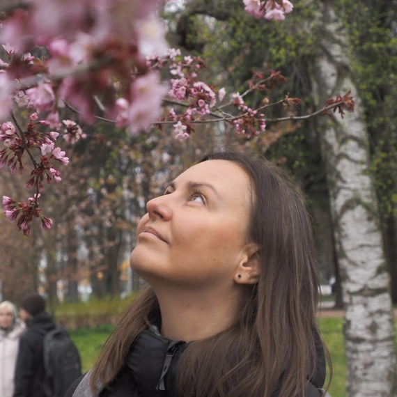 Крестовский остров