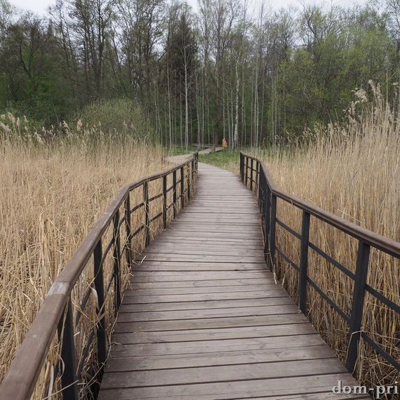 Лукоморье