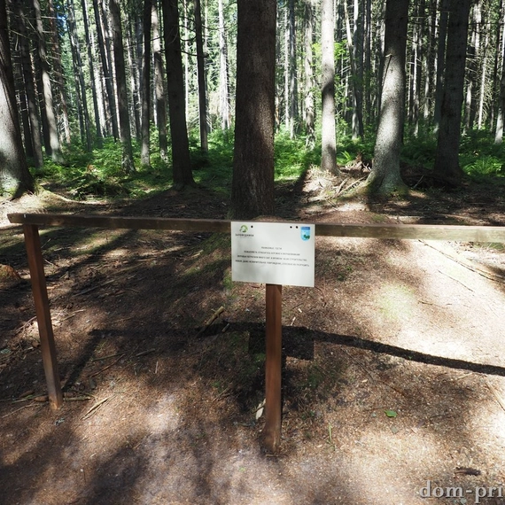 Комаровский берег