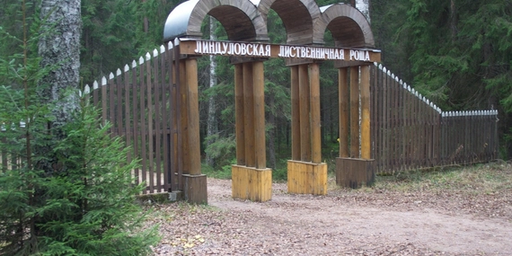 Экскурсия в Линдуловскую рощу