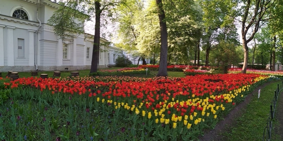 Экскурсия в ЦПКиО