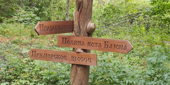 Лукоморье