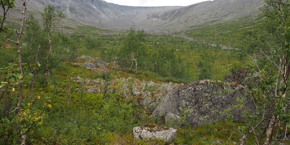 Хибины