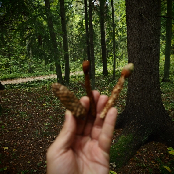 Сергиевка