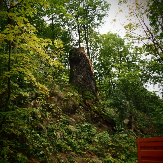 Сергиевка