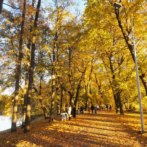 ЦПКиО