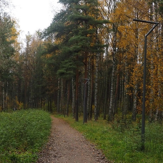 Парк Сосновка