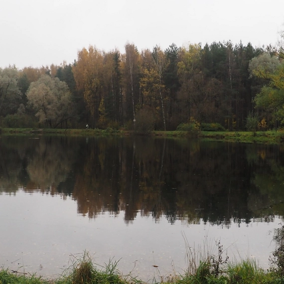 Парк Сосновка
