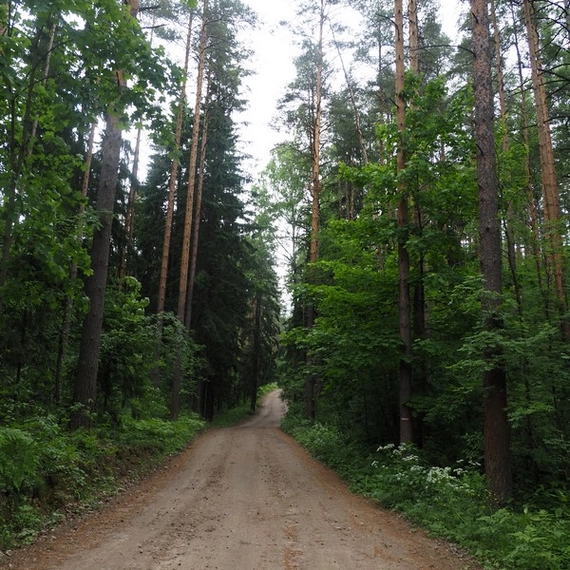 Колтушские высоты