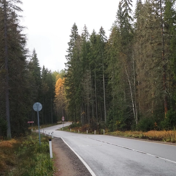 Линдуловская роща
