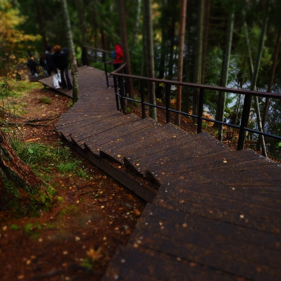 Линдуловская роща