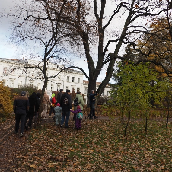 Парк Лесотехнической Академии