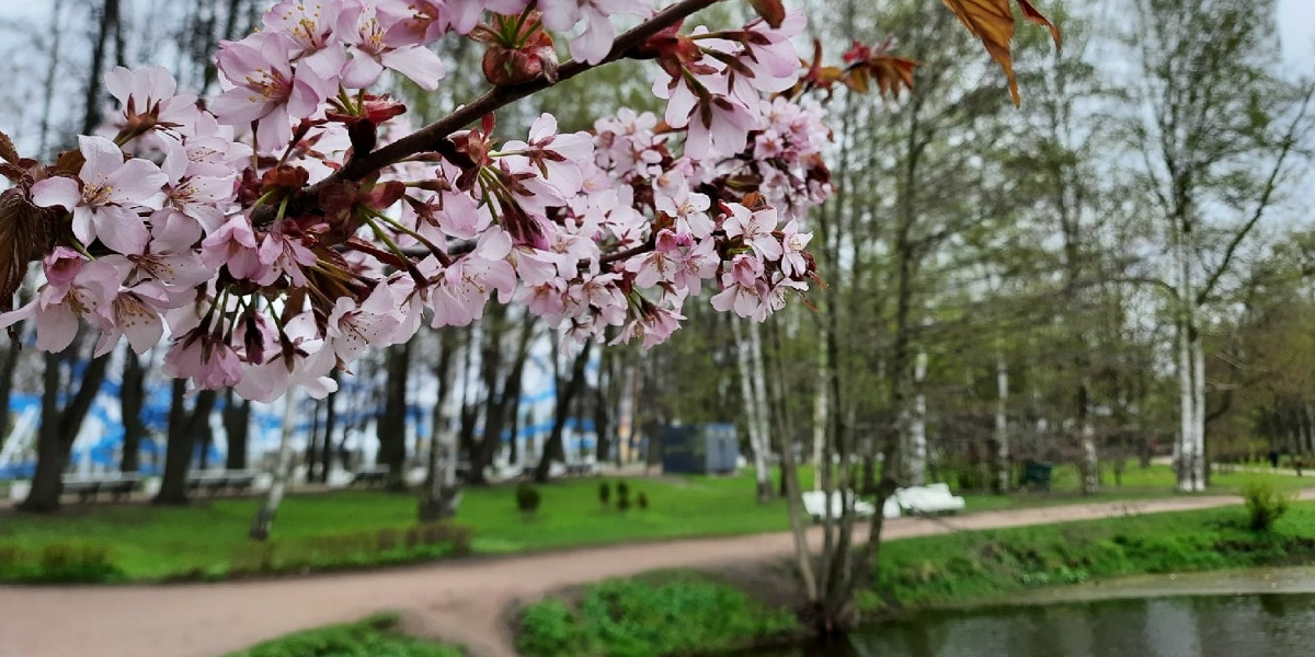 Крестовский остров (Приморский парк Победы).